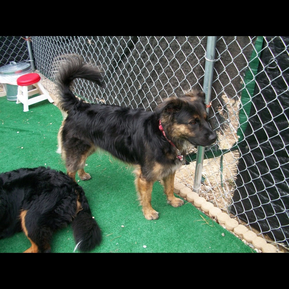 Meet your Posher, Lynda